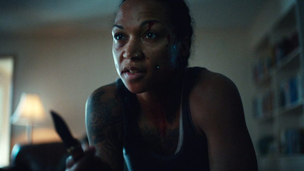 MV5BZTljZDk0NGMtYWZlYy00NGEzLTkyNDgtMTdlOTgxZjk1NGE5XkEyXkFqcGdeQVRoaXJkUGFydHlJbmdlc3Rpb25Xb3JrZmxvdw@@