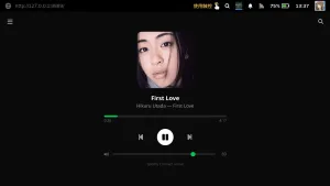 I Got Tired Of The Spotify Flatpak Lagging My Games So I V0 Mdlm3lip5slg1